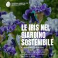 Le Iris nel giardino sostenibile 14/06/2025