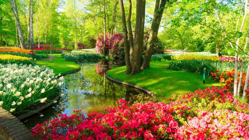 fresh spring lawn with blooming with white daffodil flowers, various tulips under green tree in formal garden, water spring in background, retro toned