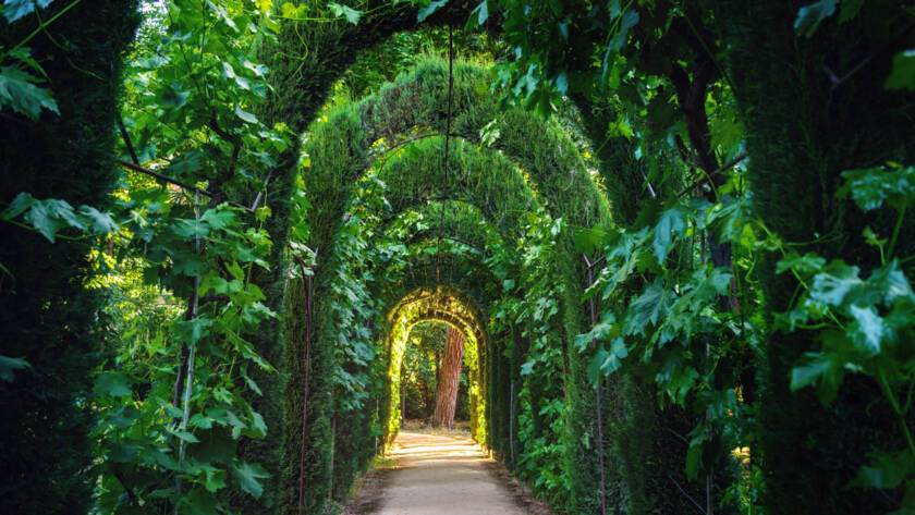 Green Tunnel at Carmen de los Martires Gardens - Granada, Andalusia, Spain