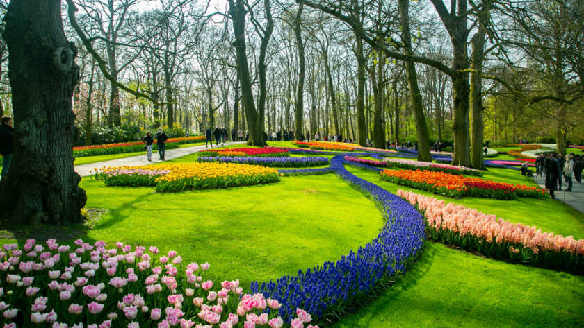AMSTERDAM,NETHERLANDS-April 20,2018:Keukenhof garden beautiful floral in Netherlands whtere adjust flower in the garden every year .