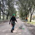 La Regione Umbria riconosce la qualifica dell’arboricoltore