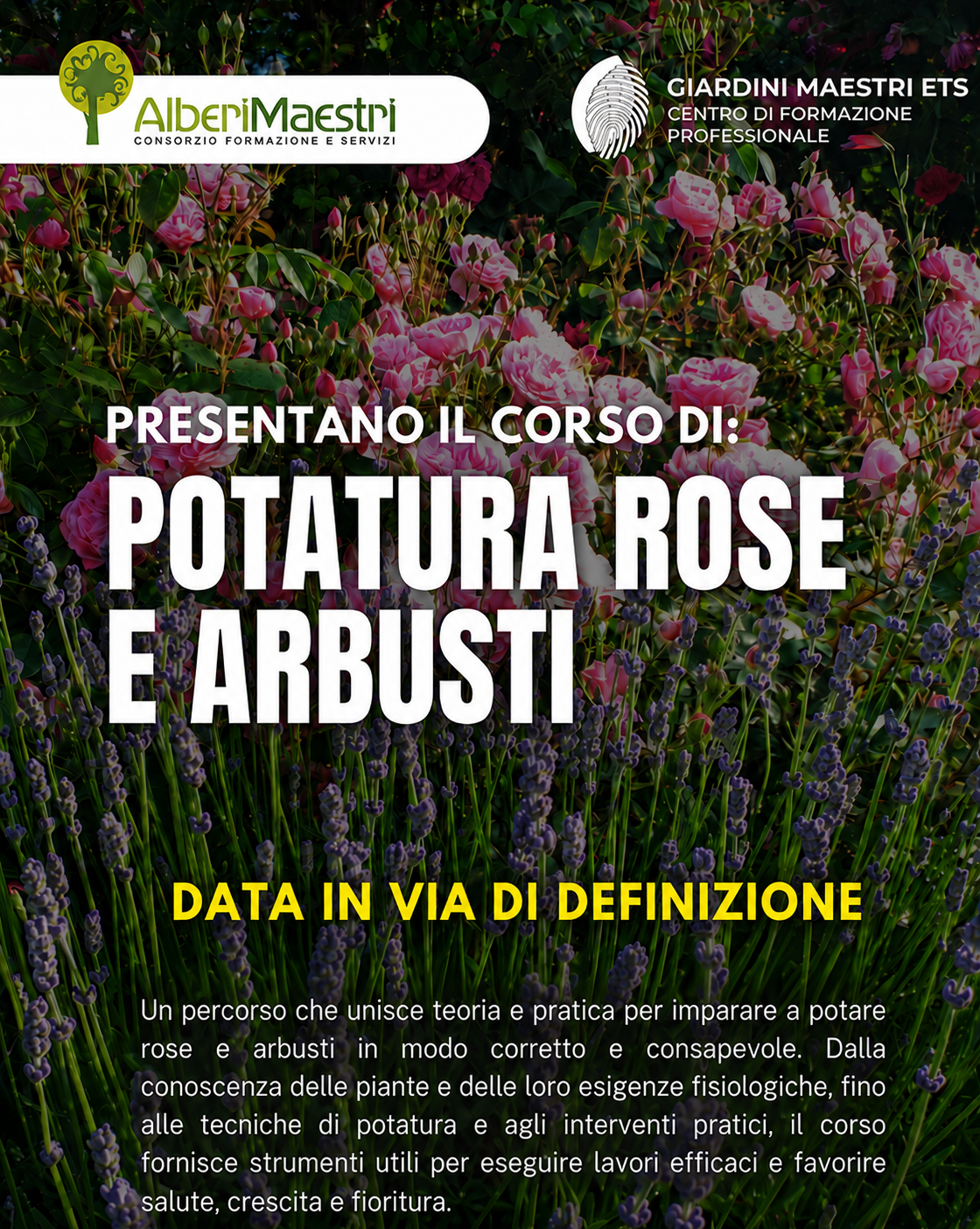 POTATURA ROSE E ARBUSTI