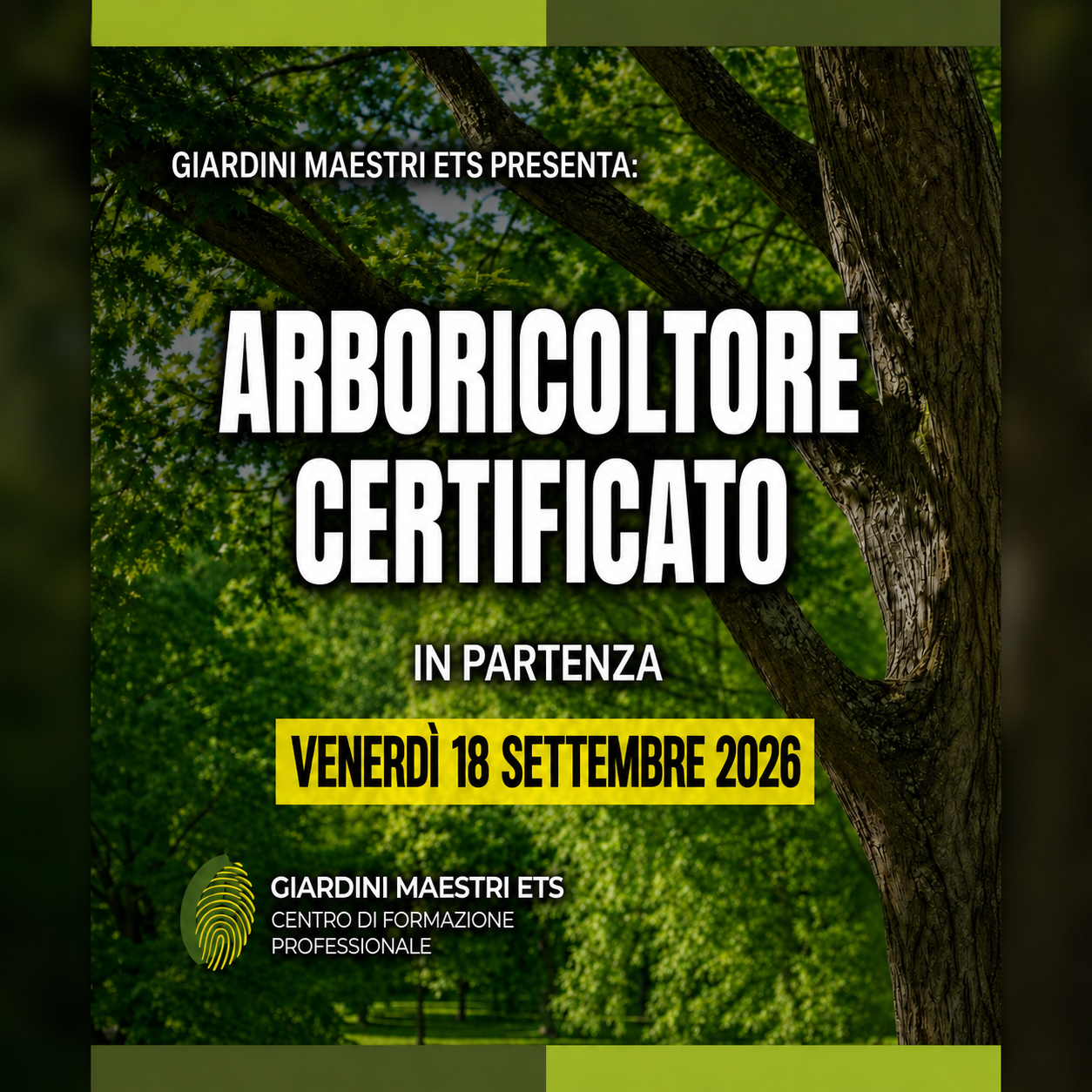Arboricoltore certificato